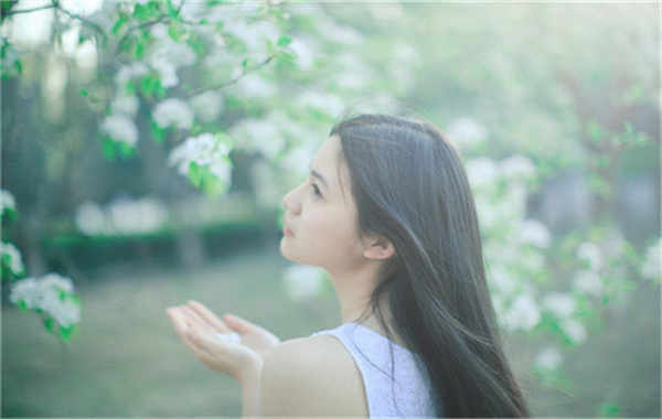 武宁验血查男女几周可以验(验血查男女结果图)